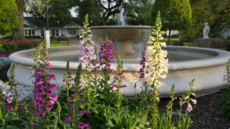 Louisiana-snapdragons-and-fountain