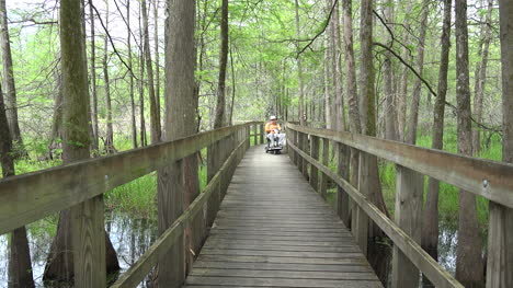 Louisiana-swamp-boardwalk-with-man-on-scooter