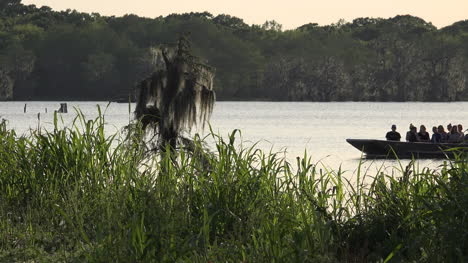 Louisiana-Touristenboot-Fährt-Am-Baum-Vorbei