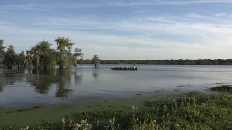 Louisiana-Touristenboot-Fährt-In-Zypressenstand-Einpress