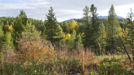 Montana-Herbstlandschaft