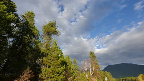 Montana-Wolken-über-Bäumen