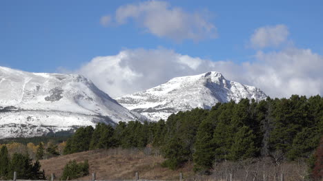 Montana-Wald-Und-Schneebedeckte-Berge