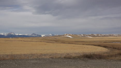 Montana-golden-grass-and-distant-Rockies