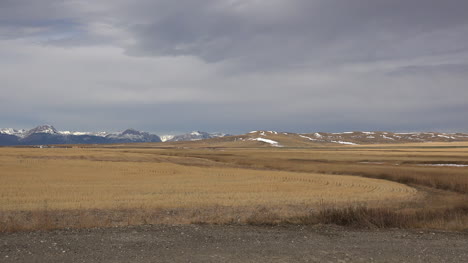 Hierba-Dorada-De-Montana-Y-Rocosas-Distantes