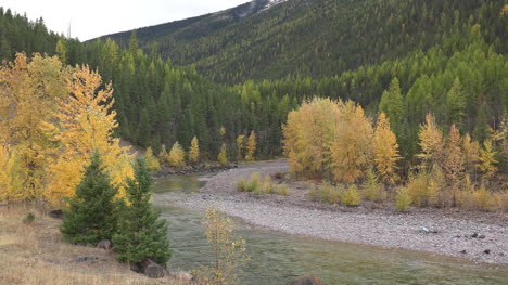 Montana-river-and-aspen-trees