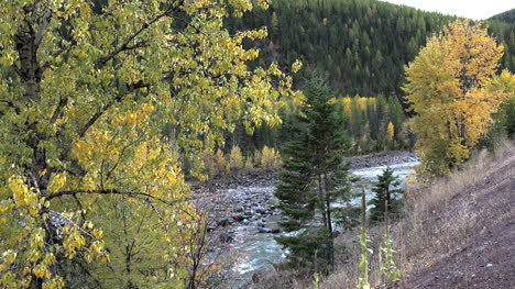 Blick-Auf-Den-Fluss-Montana-Mit-Espe