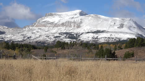 Montana-Montaña-Cubierta-De-Nieve-Elevándose-Sobre-Pastizales