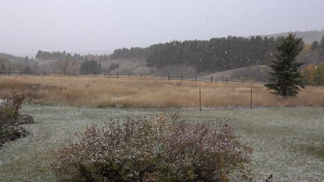 Montana-Schnee-Fällt-Auf-Landschaft