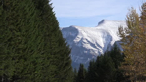 Montana-Schneebedeckter-Berg-Und-Bäume-Im-Gletscherpark