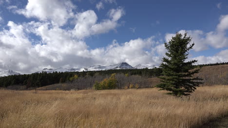 Montana-Arbol-Y-Montañas