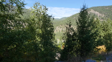 Montana-trees-and-hills