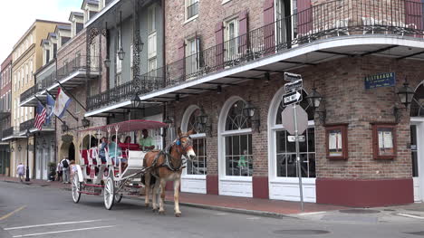 New-Orleans-Maultierwagen-Geht-Vorbei