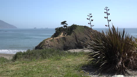 Oregon-Battle-Rock-and-yucca-view