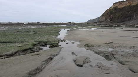 Oregon-Marine-Gardens-Bei-Ebbe-Vergrößern