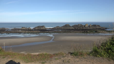 Oregon-Seal-Rocks-Ebbe-Aussicht-Zoomt-Hinein