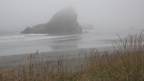 Oregon-Agitando-La-Hierba-Y-La-Pila-De-Mar-En-La-Niebla