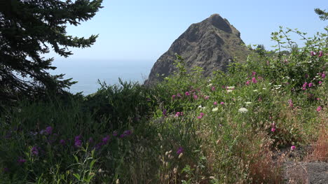 Oregon-coastal-rock-and-wildflowers