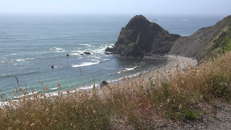 Oregon-dry-grass-and-rock-with-beach