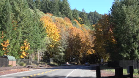 Oregon-Highway-Im-Herbst
