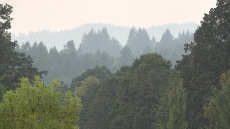 Oregon-Hügel-Und-Bäume-An-Einem-Rauchigen-Abend