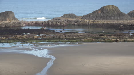 Oregon-person-at-Seal-Rocks-low-tide
