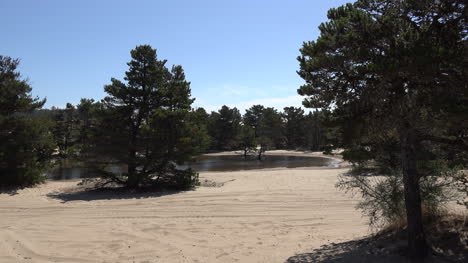 Lago-Oregon-Con-Arena-Y-Pinos