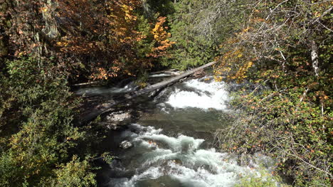 Oregon-rapids-in-a-stream-in-fall