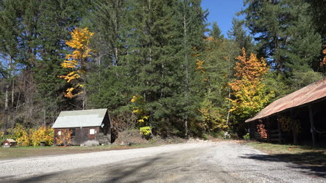 Oregon-road-and-buildings-in-fall-woods