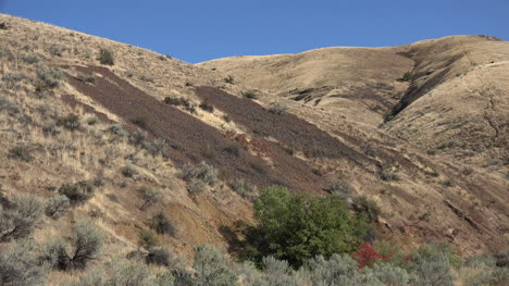 Oregon-rock-slides-on-a-grassy-hill