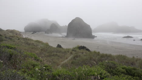 Oregon-sea-stacks-rise-in-drifting-fog