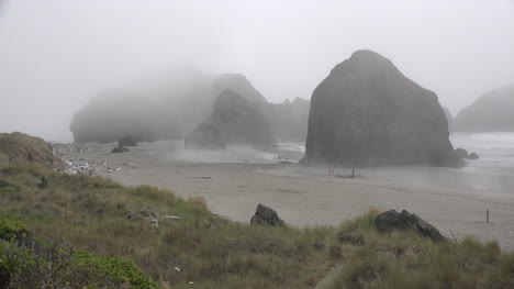 Oregon-Meeresstapel-In-Treibendem-Nebel