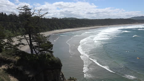 Oregon-tree-frames-waves-and-surfers