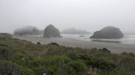 Oregon-Blick-Auf-Nebel-Und-Meeresstapel