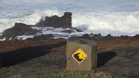Oregon-Warnzeichen-Und-Wellen