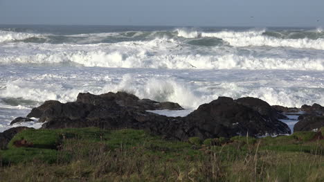 Oregon-Wellen-Greifen-Küste-An
