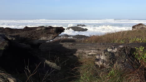 Oregon-Olas-Más-Allá-De-Leño-On-Shore