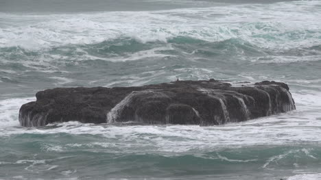 Oregon-Wellen-Bedecken-Flachen-Felsen