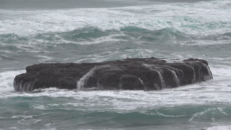 Olas-De-Oregon-Cubren-Roca-Plana