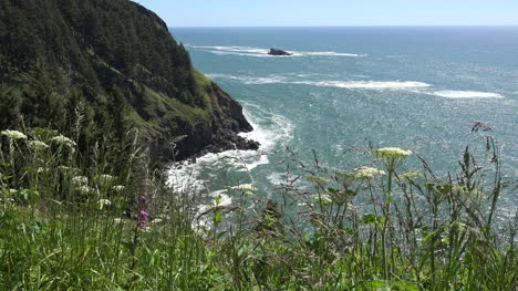 Oregon-Unkraut-Und-Blumen-über-Dem-Meer