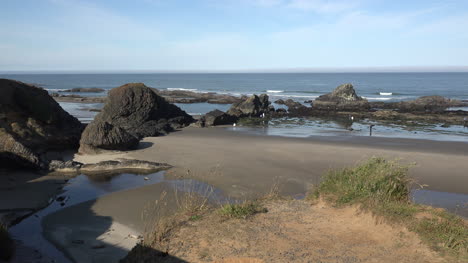 Oregon-zooms-on-people-at-low-tide