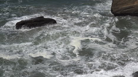 Oregon-Se-Aleja-Del-Caldero-De-Olas-Con-Pájaro