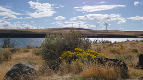 Washington-Columbia-Río-and-wind-turbines