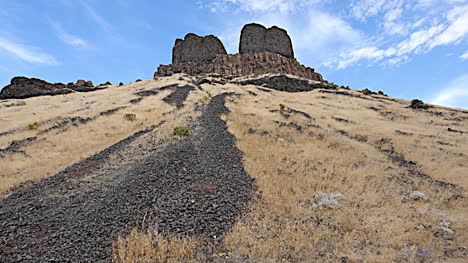Washington-two-sisters-formation