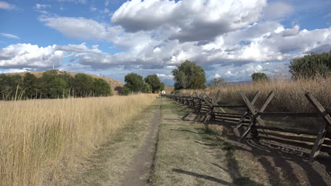 Washington-covered-wagon-on-Oregon-Trail-zoom-in