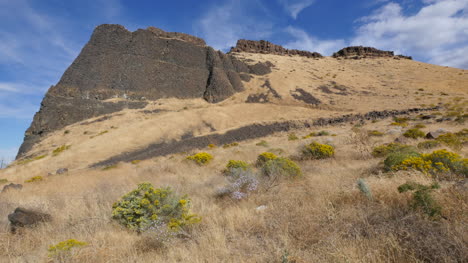 Washington-lava-cliff-rises-above-dry-grass