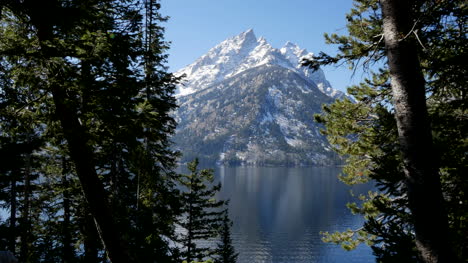 Wyoming-Jenny-Lake-Und-Teton-Viewte
