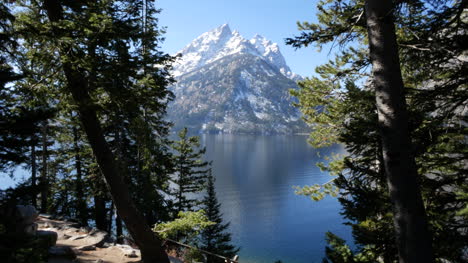 Wyoming-Teton-Peak,-Umrahmt-Von-Bäumen-Am-Jenny-Lake