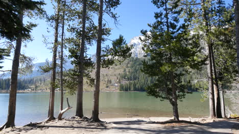 Wyoming-Tetons-Durch-Bäume-Am-Jenny-Lake
