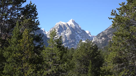 Pico-De-La-Montaña-De-Wyoming-Más-Allá-De-Los-árboles